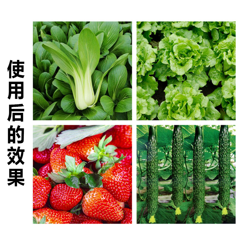 厂家直销生根壮苗绿叶壮株瓜果蔬菜12元素氨基酸中微量元素
