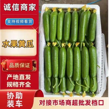 精品水果黄瓜现摘现发一件代发常年供应量大从优