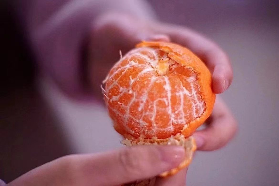 蜜橘剥皮过程
