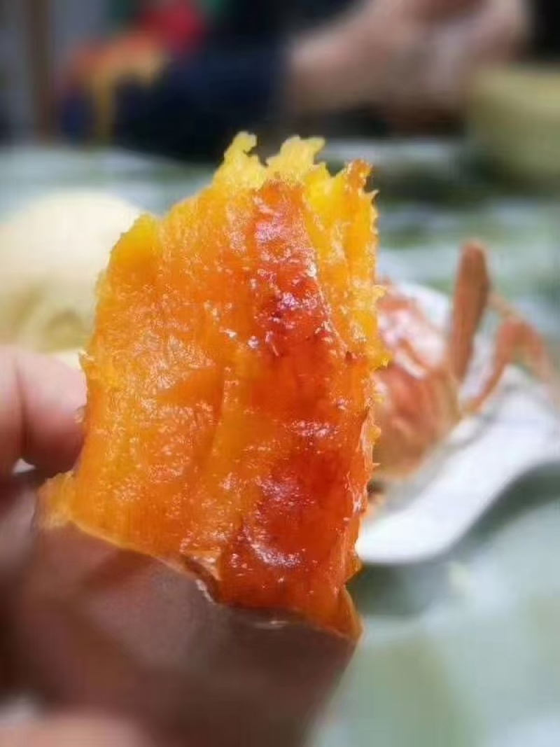 安丘沙地蜜薯千亩基地大量上市现挖现发品质保证