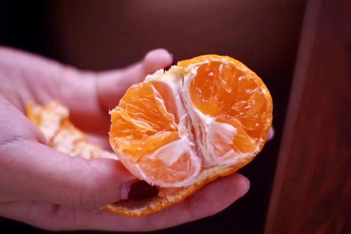 一位消费者正在切开一颗甜橙,果肉呈现略带酸涩的色泽 消费者手持切开的橙子露出略显酸涩的果肉