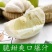 湖南安江雪峰冰糖柚麻麻柚香柚子甜水果一件代发