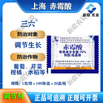 九二0赤霉素正宗上海920瑞丰赤霉酸批发价生长调节赤霉酸