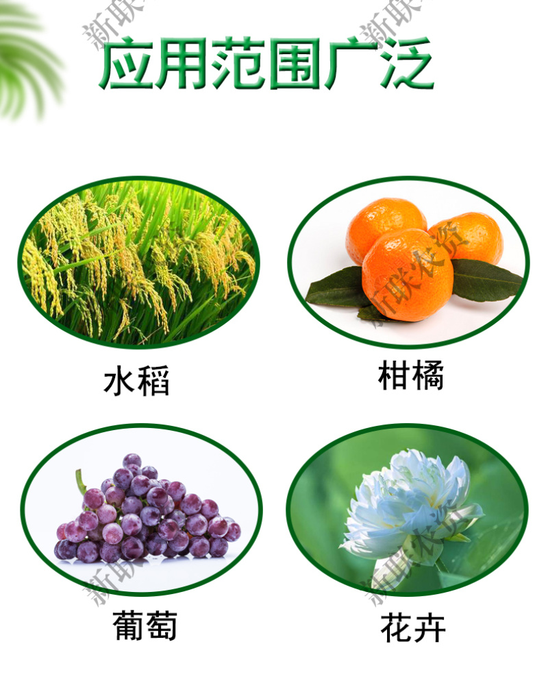九二0赤霉素正宗上海920瑞丰赤霉酸批发价生长调节赤霉酸