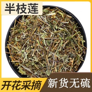 中药材批发野生正品半支莲无硫半枝莲挖耳草通经草