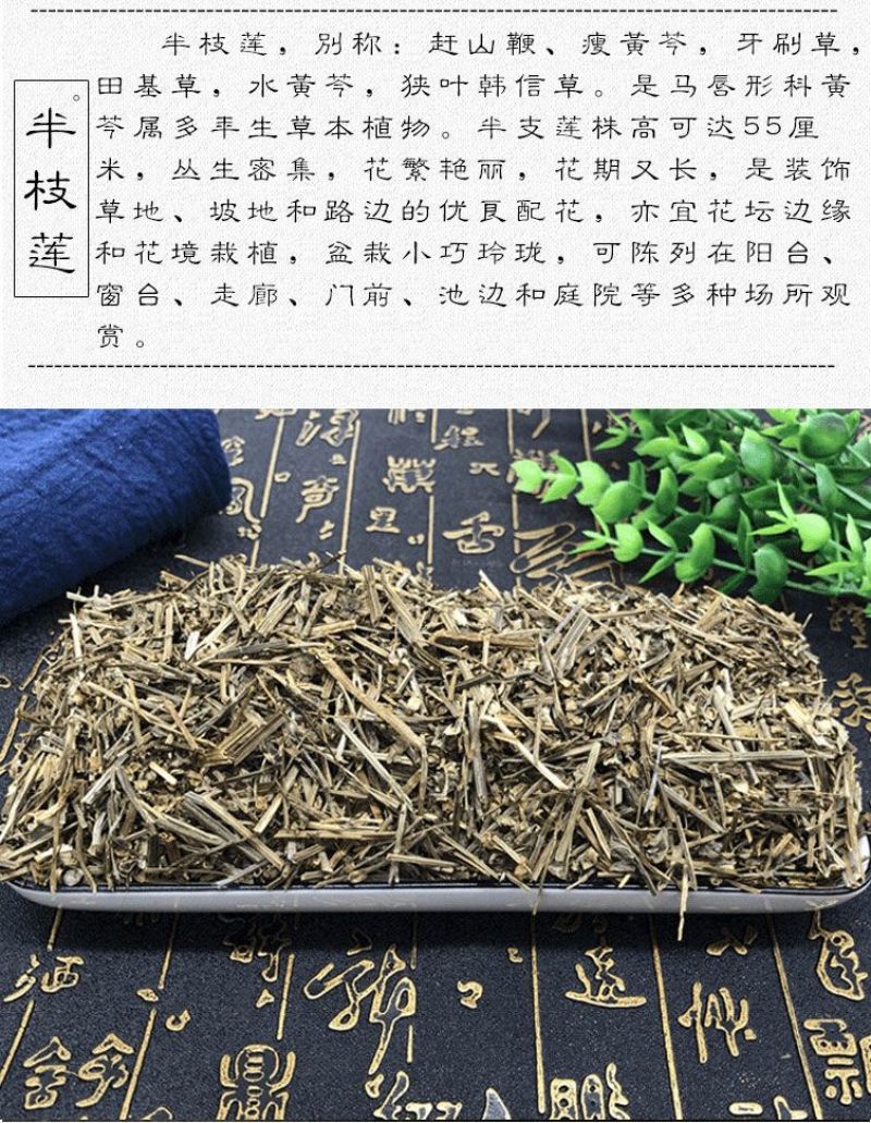 中药材批发野生正品半支莲无硫半枝莲挖耳草通经草