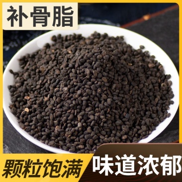 发新货补骨脂破故纸黑故子散装不加硫药材补骨脂产地货源代