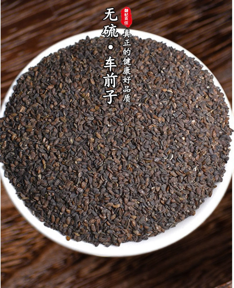 车前子，新货无硫无异味，产地货源，保质保量，批发各种药材