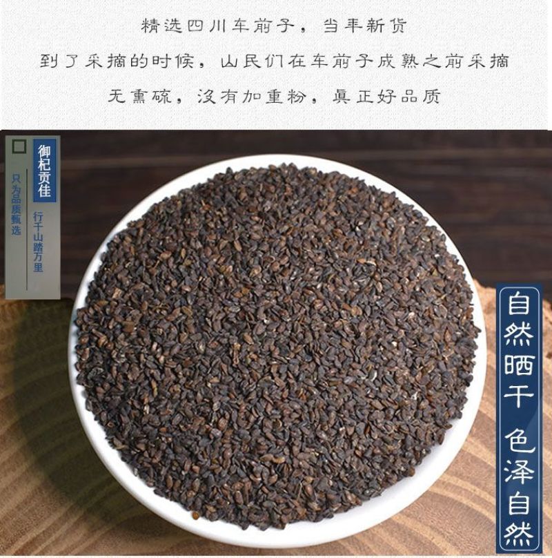 车前子，新货无硫无异味，产地货源，保质保量，批发各种药材