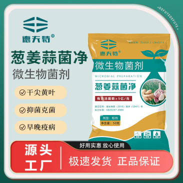 德夫特葱姜蒜菌净大葱小葱大蒜干尖黄叶疫炭疽枯萎锈病微生物