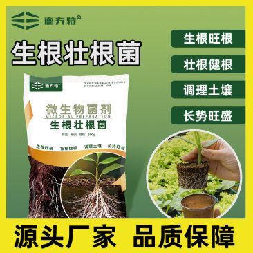 德夫特生根壮根菌快速生根壮根扦插烂根苗弱植物通用全水溶生