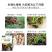 德夫特生根壮根菌快速生根壮根扦插烂根苗弱植物通用全水溶生
