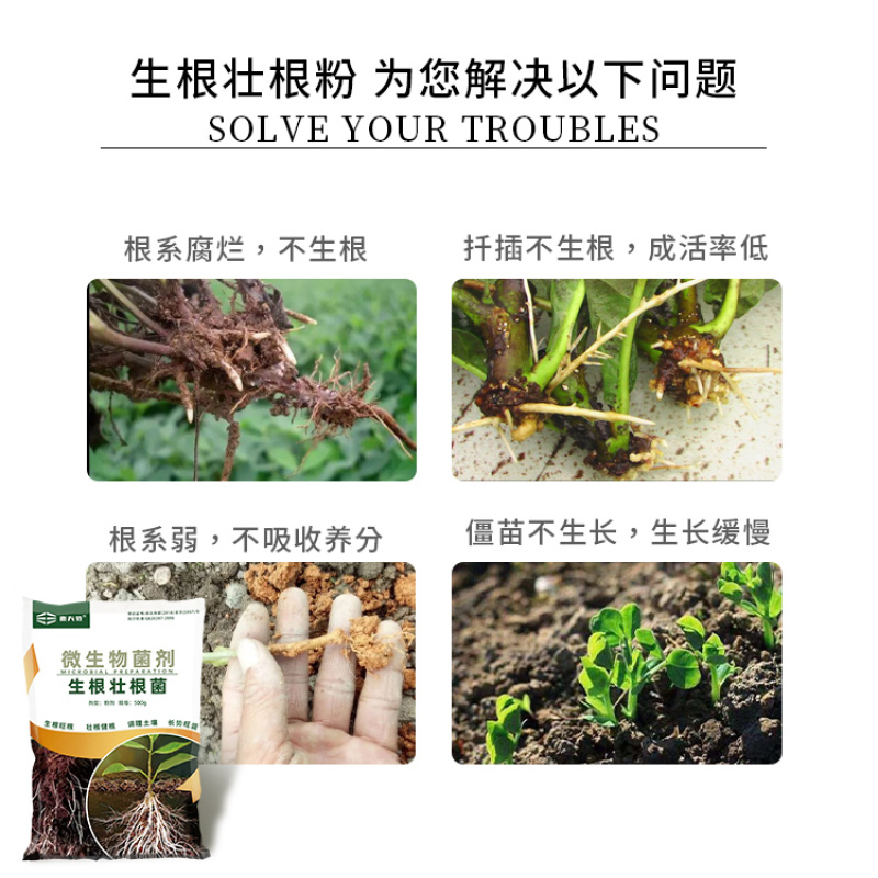 德夫特生根壮根菌快速生根壮根扦插烂根苗弱植物通用全水溶生
