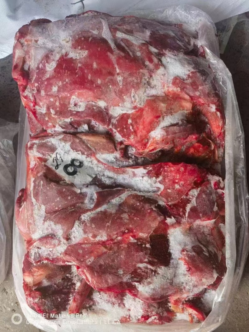 精品马前腿肉品质上乘价格优惠对接各大市场商超