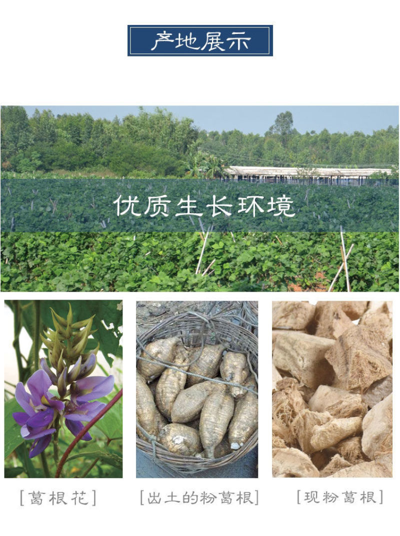 粉葛根，柴葛根，葛根粉无硫产地一手货源，规格齐全实拍现货