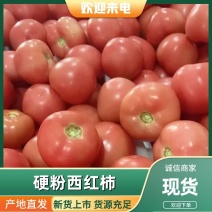 硬粉西红柿现摘现发产地直发价格便宜坏果包赔零售批发