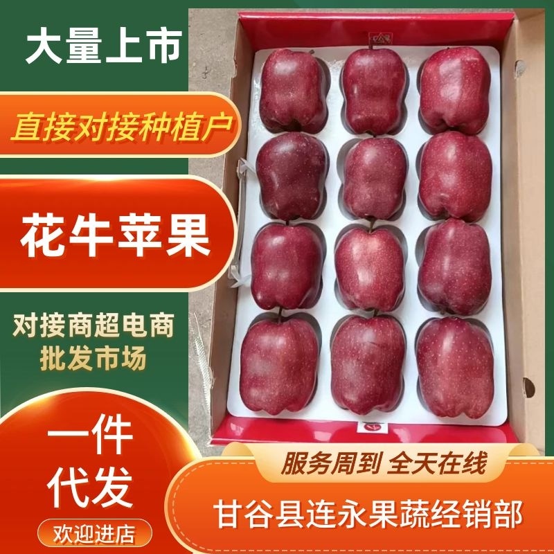 【包邮】花牛苹果甘肃发货品质保证一件发货口碑好快下单