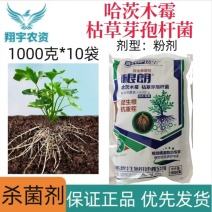 山东博华根朗哈茨木霉枯草芽孢杆菌微生物菌剂