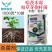 山东博华根朗哈茨木霉枯草芽孢杆菌微生物菌剂