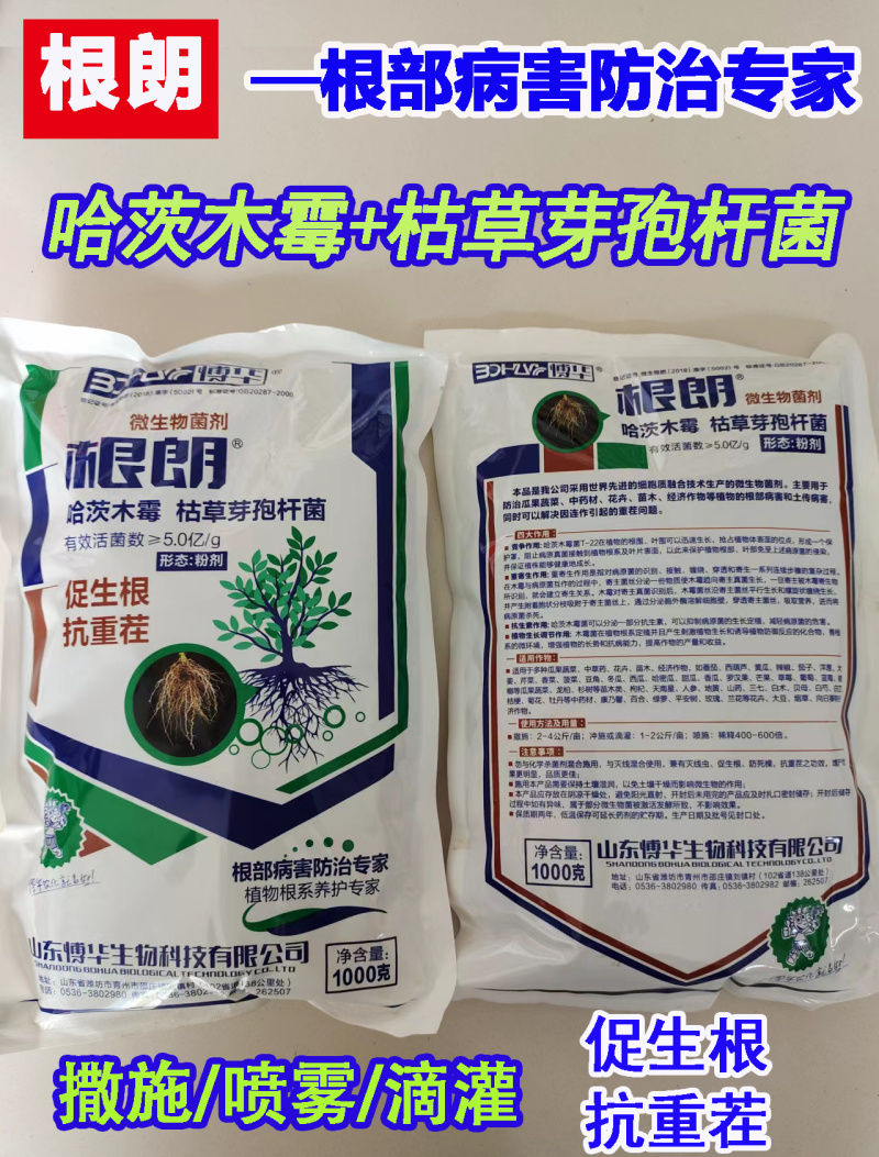 山东博华根朗哈茨木霉枯草芽孢杆菌微生物菌剂