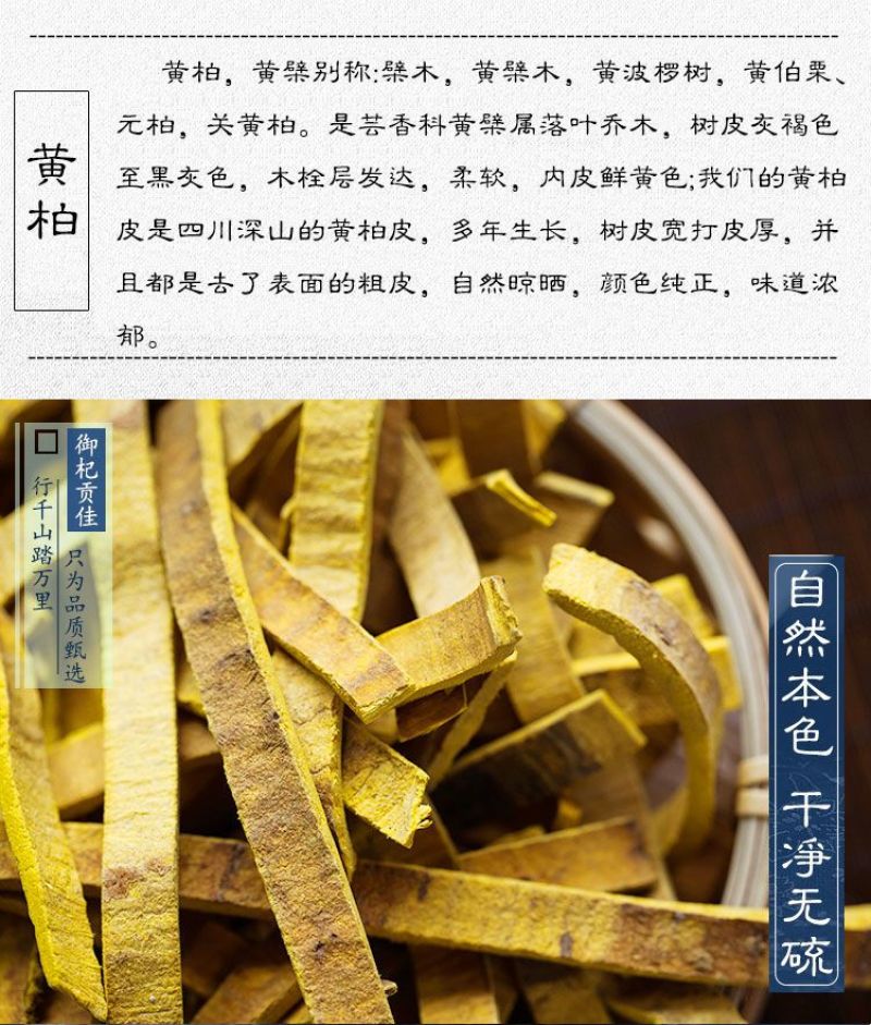 黄柏中药材正品黄柏无硫黄柏片黄柏树皮正宗川黄柏的功效黄柏