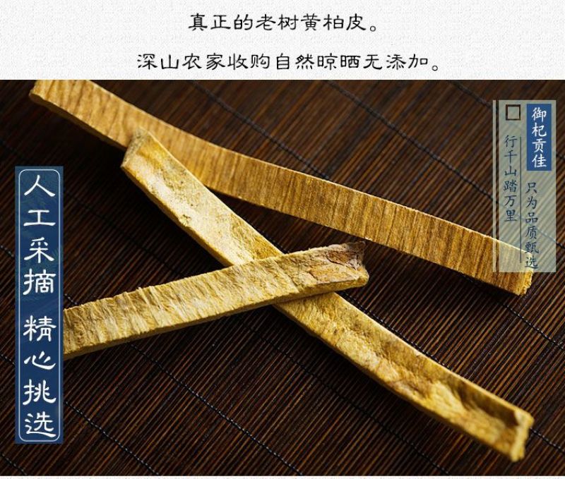 黄柏中药材正品黄柏无硫黄柏片黄柏树皮正宗川黄柏的功效黄柏