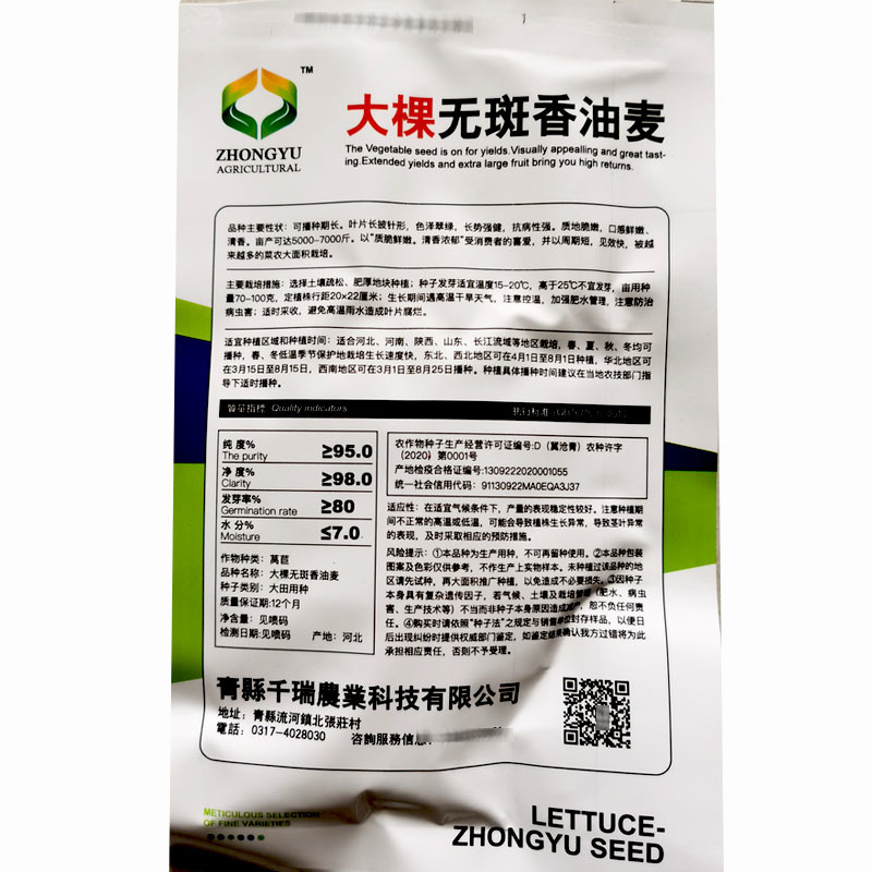 大颗甜脆油麦菜种子耐热耐寒四季无斑香油麦菜种子籽孑