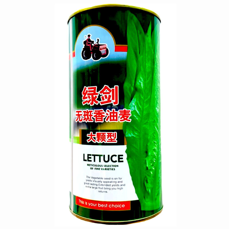 绿剑无斑油麦菜种子四季大颗油麦菜种籽