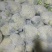 【精品松花菜】江苏基地直供质量保证一手货源全国发货