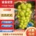河北涿鹿阳光玫瑰葡萄开卖了品相好运输便利价格实惠诚信经营