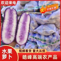 精品水果萝卜山东水果萝卜一手货源视频看货欢迎下单