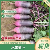 山东冰淇淋萝卜批发礼盒装规格齐全脆甜不辣人工挑选品质把关