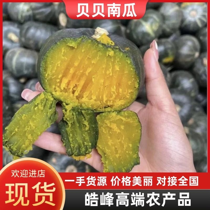 精品贝贝南瓜南瓜保粉保面甜糯新鲜欢迎来电采购!