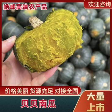 贝贝南瓜贝贝南瓜礼盒一手货源品质保证可视频欢迎下单