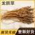 农家龙胆草道地中草药龙胆草苦胆草干净无杂保质保量