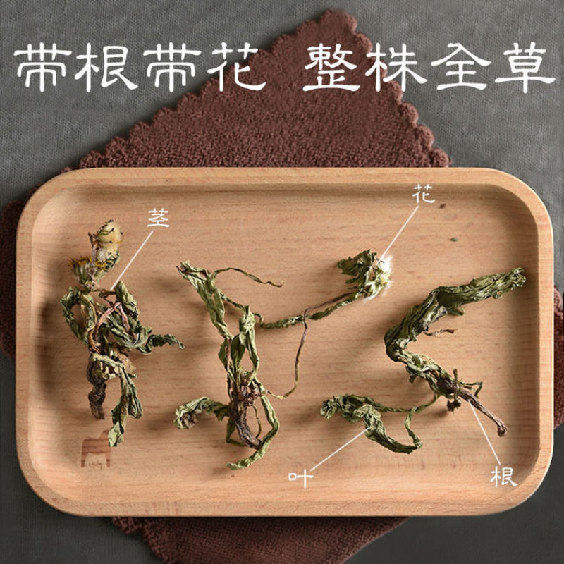 野生新款无糖整株叶花新疆干货蒲公英茶中草药现挖现发婆婆丁