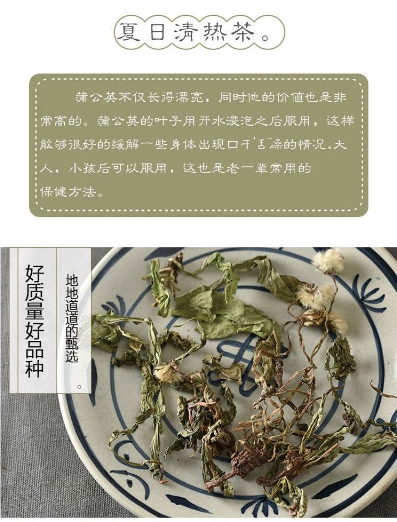 野生新款无糖整株叶花新疆干货蒲公英茶中草药现挖现发婆婆丁