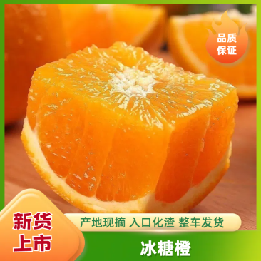 正宗麻阳冰糖橙，口感纯甜发渣，支持一件代发，全国发货
