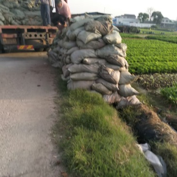 衡阳发酵鸡粪批发鸡粪有机肥支持送货上门欢迎咨询