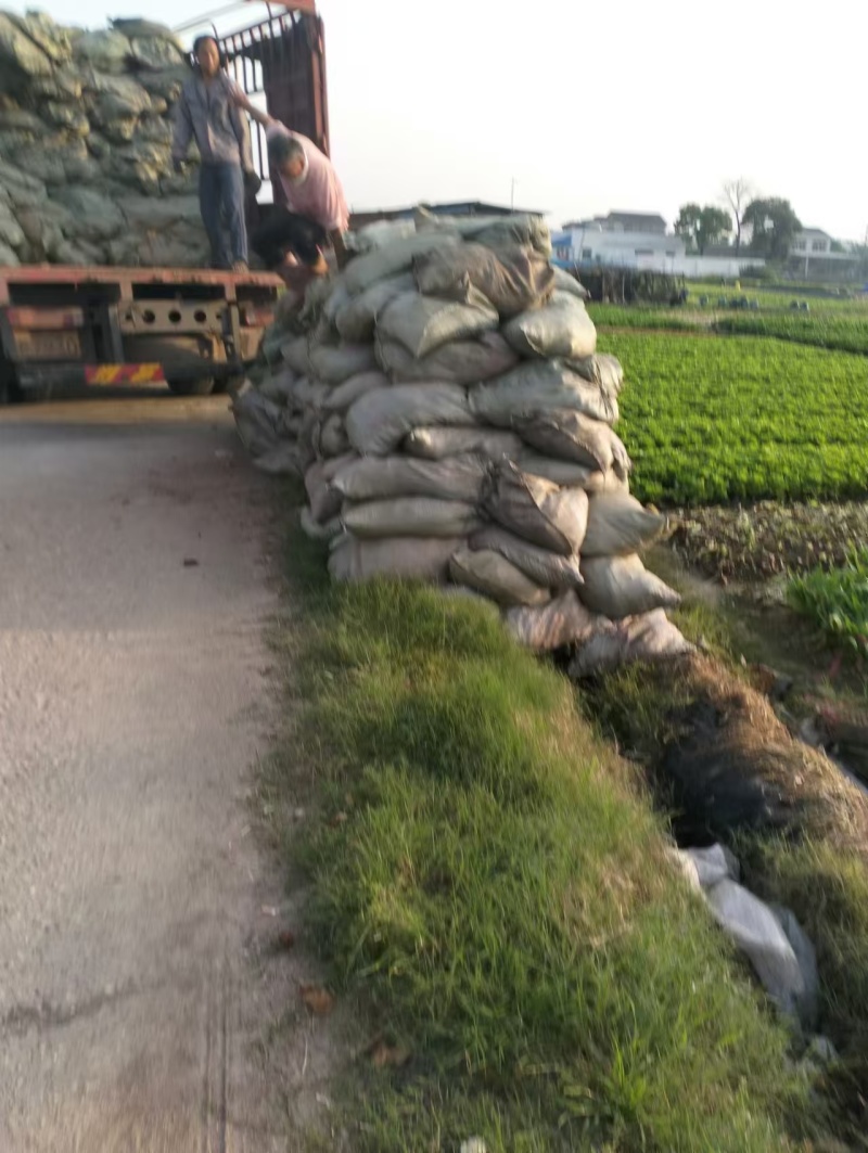 衡阳发酵鸡粪批发鸡粪有机肥支持送货上门欢迎咨询