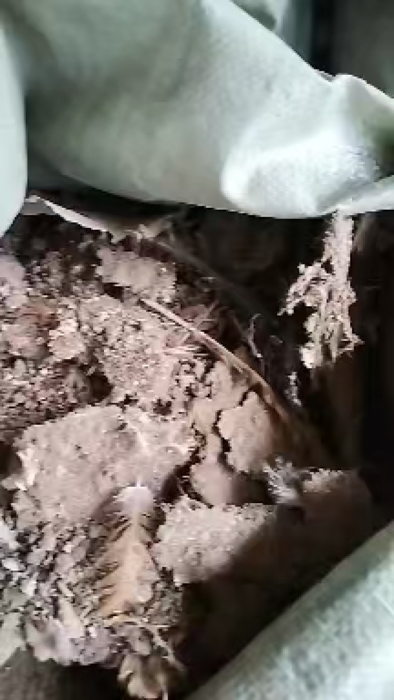 衡阳发酵鸡粪批发鸡粪有机肥支持送货上门欢迎咨询