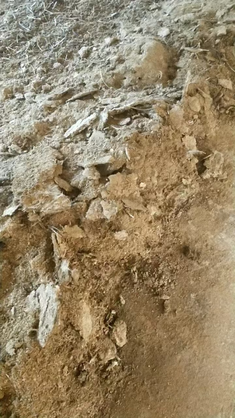 衡阳发酵鸡粪批发鸡粪有机肥支持送货上门欢迎咨询
