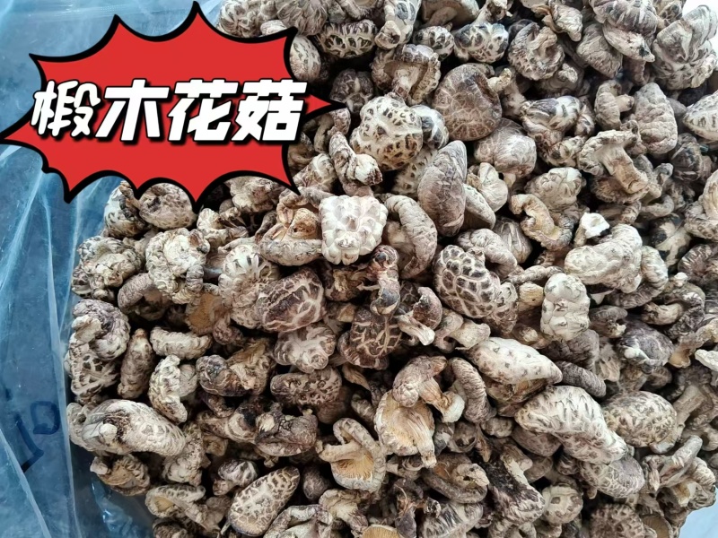 【精品】湖北精品花菇椴木小花菇花菇香菇品质保障欢迎