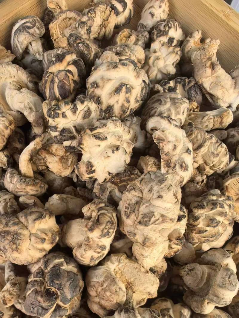 【精品】湖北精品花菇椴木小花菇花菇香菇品质保障欢迎