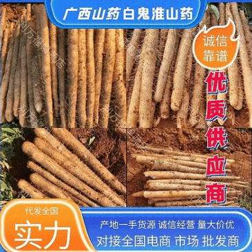 广西淮山药铁棍山药滚地龙白玉产地直发可代全国诚信
