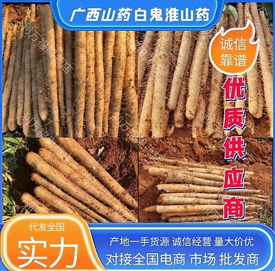 广西淮山药铁棍山药滚地龙白玉产地直发可代全国诚信
