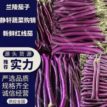 红线茄子大量上市了，价格美丽，一手货源，整车发货，品质保