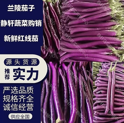 红线茄子大量上市了，价格美丽，一手货源，整车发货，品质保
