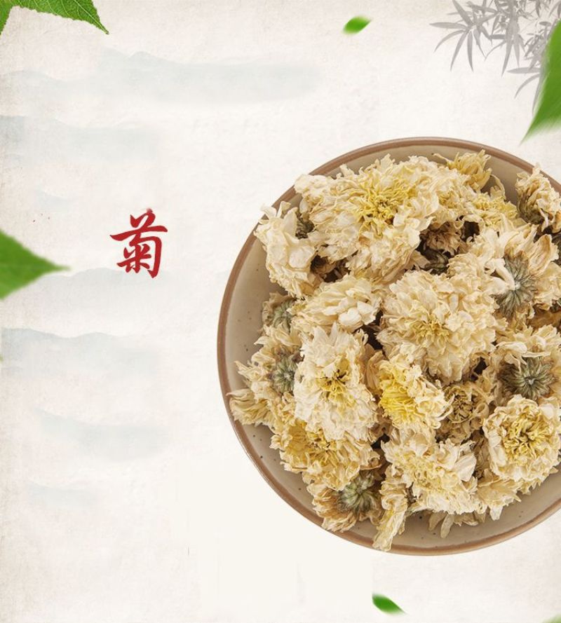 药用白菊花药材中药材正品新货野生无硫原生态亳菊花药用