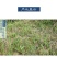 野生白茅根茶白毛根干甜草根坚草跟凉茶食材中药材茅草根毛草